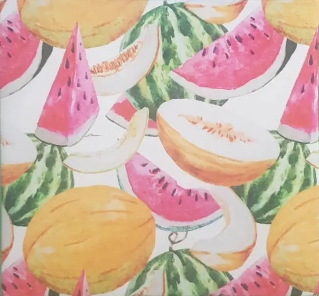 5 Adet Kurutmalık Mikrofiber Kurutma Bulaşık Altlığı