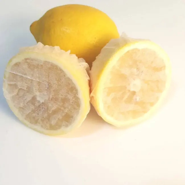 Limon Bonesi / 100 Adet / Bitki Çayı Bonesi