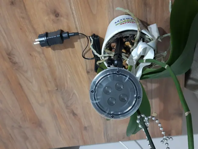 Peri Led Işık 5 Metre Beyaz  Dekor Lambası 50 Ledli