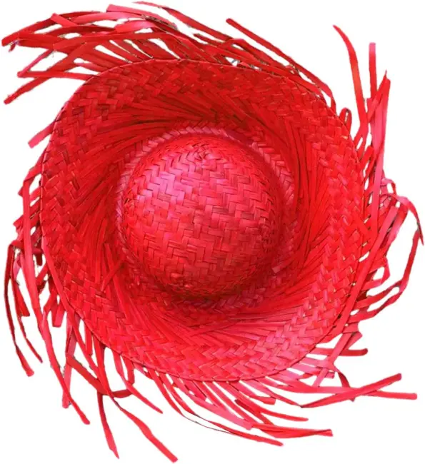 Tropikal Parti Kırmızı Hasır Hawaii Şapkası 13x36 Cm