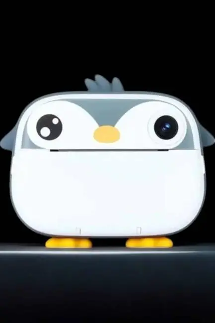 Çocuk Fotoğraf Makinesi Dijital HD Video Rulo Kağıt Baskılı Yazıcı