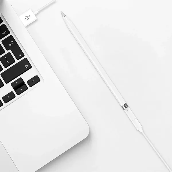 Ally Apple Pen Pencil Kalem Usb Şarj Cihazı Lightning Adaptörü-(5775)