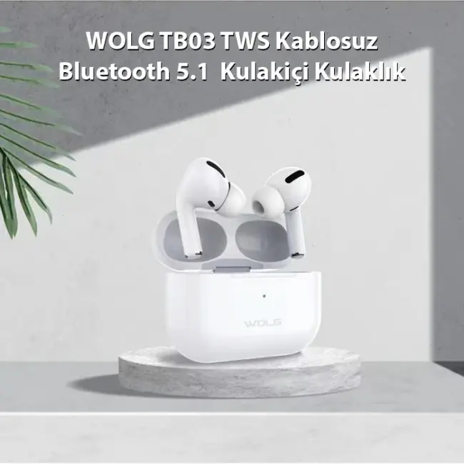 WOLG TB03 TWS Kablosuz Bluetooth 5.1  Kulakiçi Kulaklık-(5775)