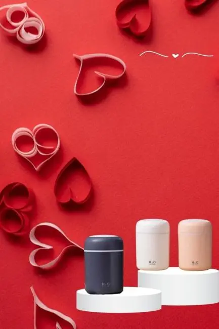 Sevgiliye Hediye Led Işıklı Hava Nemlendirici USB Şarjlı Sevgiliye Özel