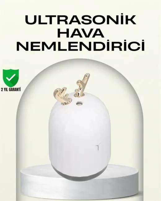 ABS+PP Malzemeli Taşınabilir 220 ml USB Mist Nemlendirici