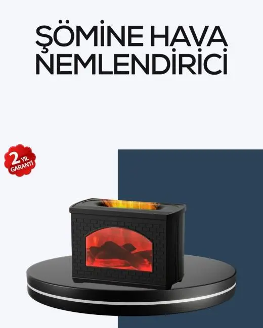 Aromaterapi Uyumlu Ultrasonik Oda Nemlendirici Ayarlanabilir Sis Çıkışlı