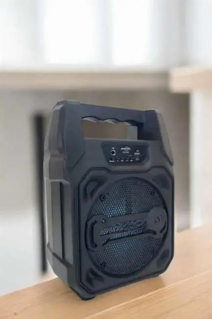 Kablosuz 6.5 İnç TWS Bluetooth Hoparlör