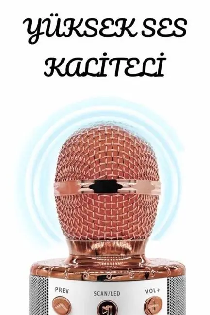 Şarjlı ve Uzun Pil Ömürlü Karaoke Mikrofon USB Bellek Destekli Profesyonel Ses