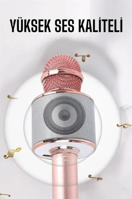 Taşınabilir Bluetooth Karaoke Mikrofon: Hafıza Kart Girişli Etkileyici Performans