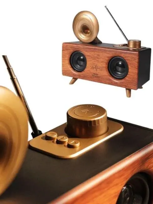 B6 SPEAKER HOPARLÖR