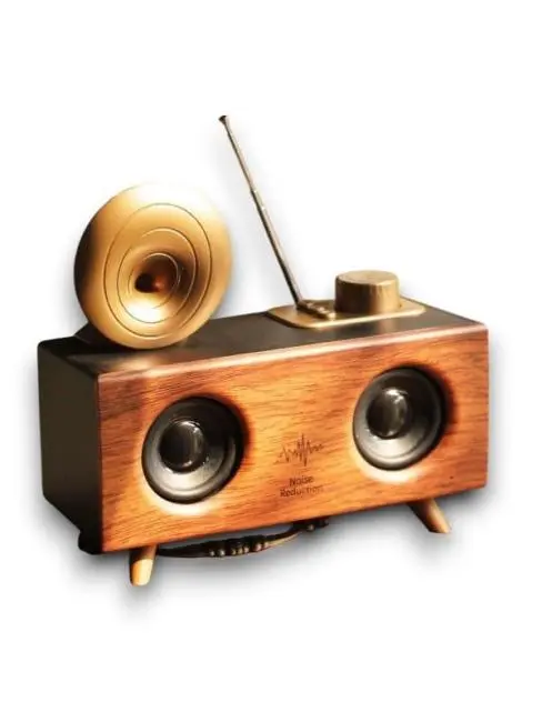 B6 SPEAKER HOPARLÖR