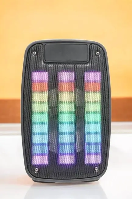 Kablosuz Bluetooth Hoparlör Taşınabilir 6.5 inç LED Işık Kareoke