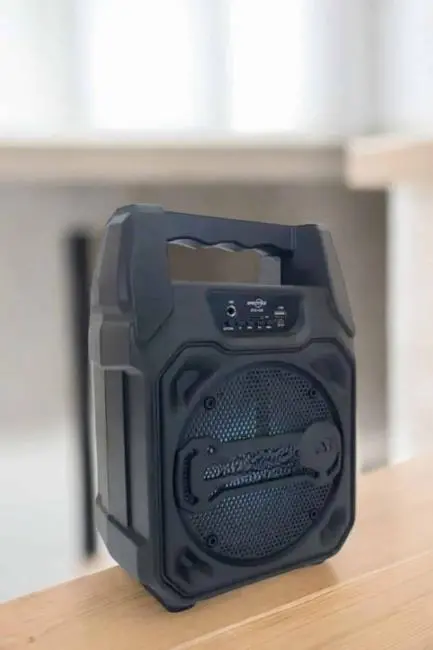 Kablosuz 6.5 İnç TWS Bluetooth Hoparlör