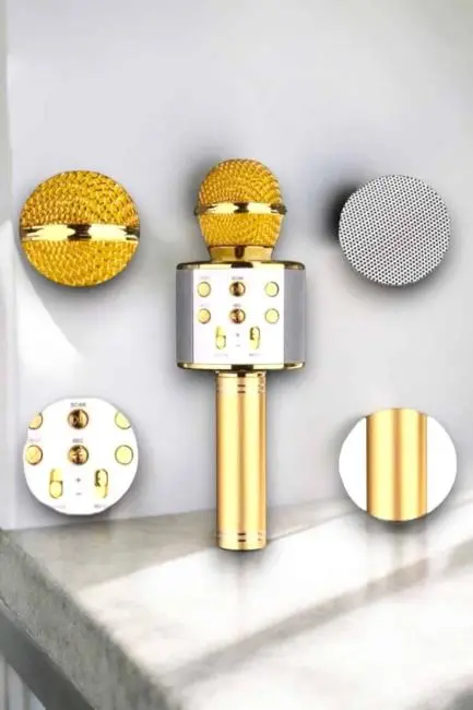 Taşınabilir Bluetooth Karaoke Mikrofon: Hafıza Kart Girişli Etkileyici Performans