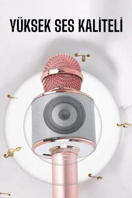 Taşınabilir Bluetooth Karaoke Mikrofon: Hafıza Kart Girişli Etkileyici Performans