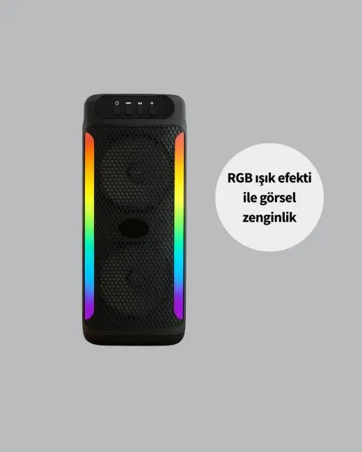 Taşınabilir Şarjlı Hoparlör USB SD Kart AUX Girişli