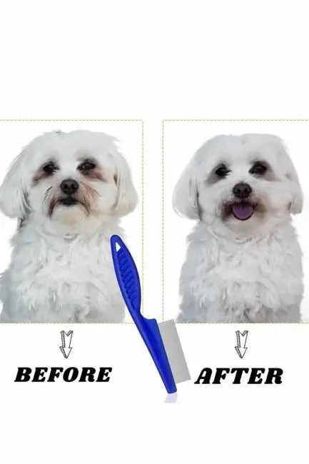 Evcil Hayvan Tarak Seti 4'lü Bit Tarağı Ked Köpek Tüyüne Uygun