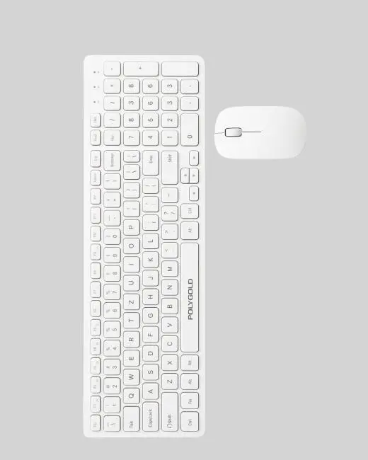 PG-8040 KLAVYE VE MOUSE SETİ