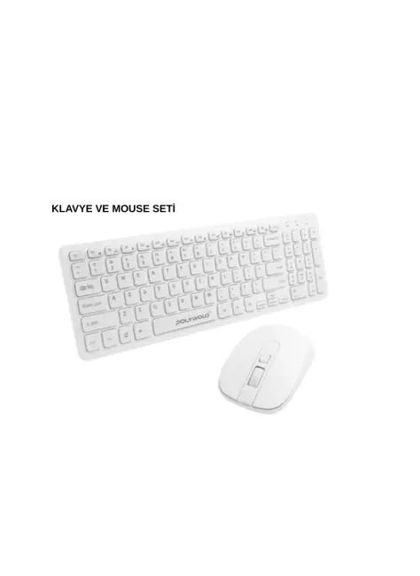 PG-8040 KLAVYE VE MOUSE SETİ