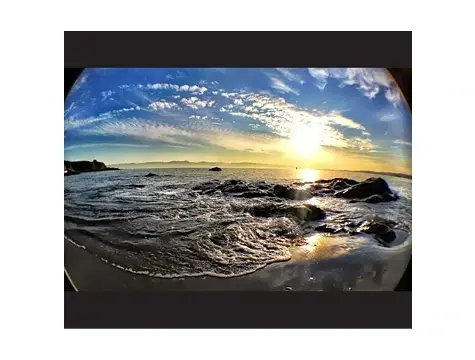 Balık Gözü Cep Telefonu Lensi (tüm Modellere Uyumlu)