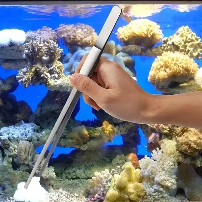 Uzun 30 Cm Çelik Cımbız - Akvaryum Maşası