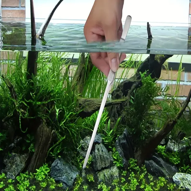 Uzun 30 Cm Çelik Cımbız - Akvaryum Maşası