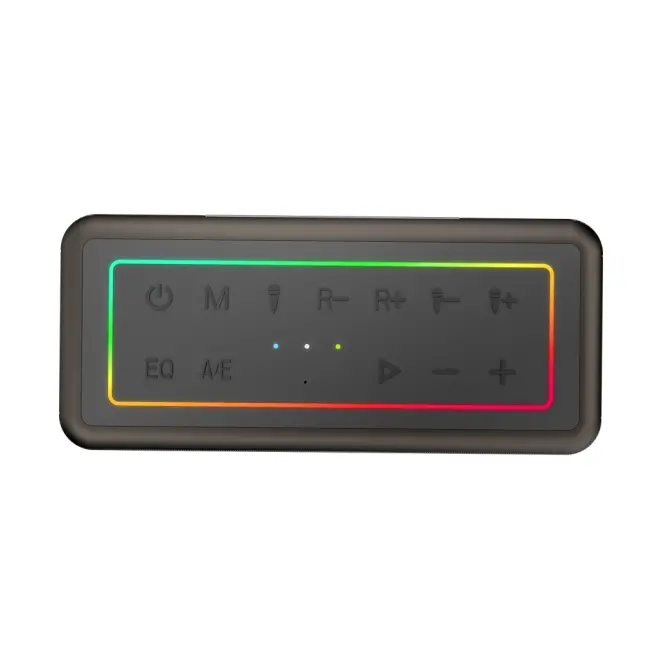 MICROLAB M60 Vega 100W Taşınabilir BT/USB/AUX/TF/Type-C RGB Işıklı 15000mAh Batarya 2adet Mikrofon Karaoke/Parti Bluetooth Speaker(1923)