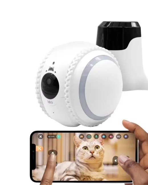 Çok Fonksiyonlu Yapay Zekalı Takip Kamerası Mobil Uygulama ve Canlı İzleme