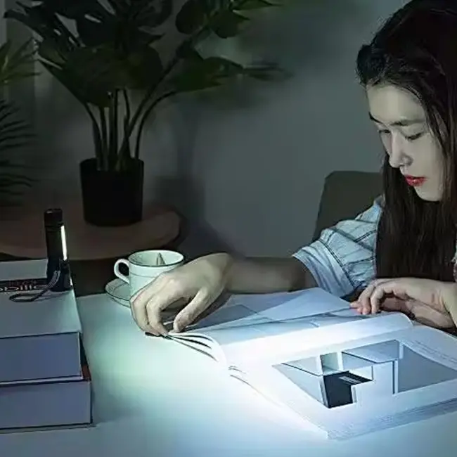 Powerbank Özellikli Uzun Menzilli El Feneri Wt-039