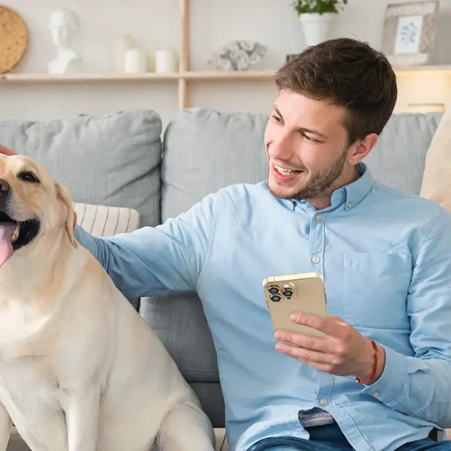 ALLY iPhone 14 Pro-14 Pro Max 3D Metal Çerçeveli Kamera Lens Koruyucu-(5775)